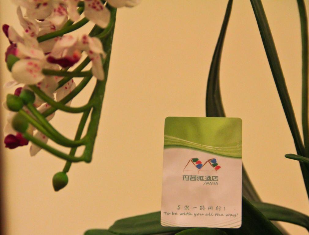 广州市玛茜雅酒店 外观 照片